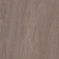 Дуб верцаска латте