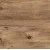 Атлантическая сосна