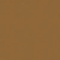 P2 EUROLINE 910 (коричнево-бежевый)